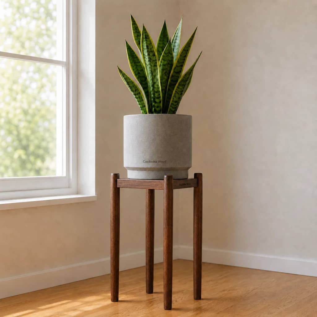 Set de macetera con planta y soporte de madera